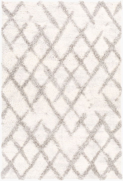 Everton Machine Woven Rug