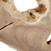 Terrains Natural Wood Wall Decor thumbnail 6