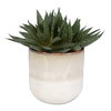 Doha Succulent Accent, Artificial Plants & Flower by Uttermost, 11" width x 10.5" height x 9" depth thumbnail 1