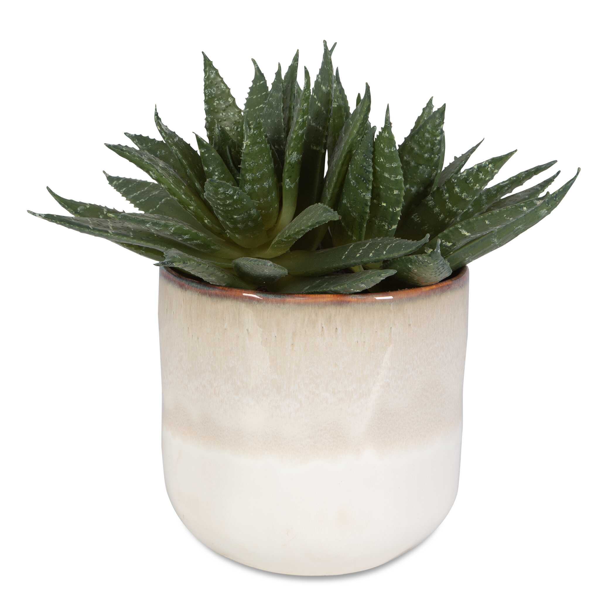 Doha Succulent Accent, Decorative by Uttermost, 11" width x 10.5" height x 9" depth View 1