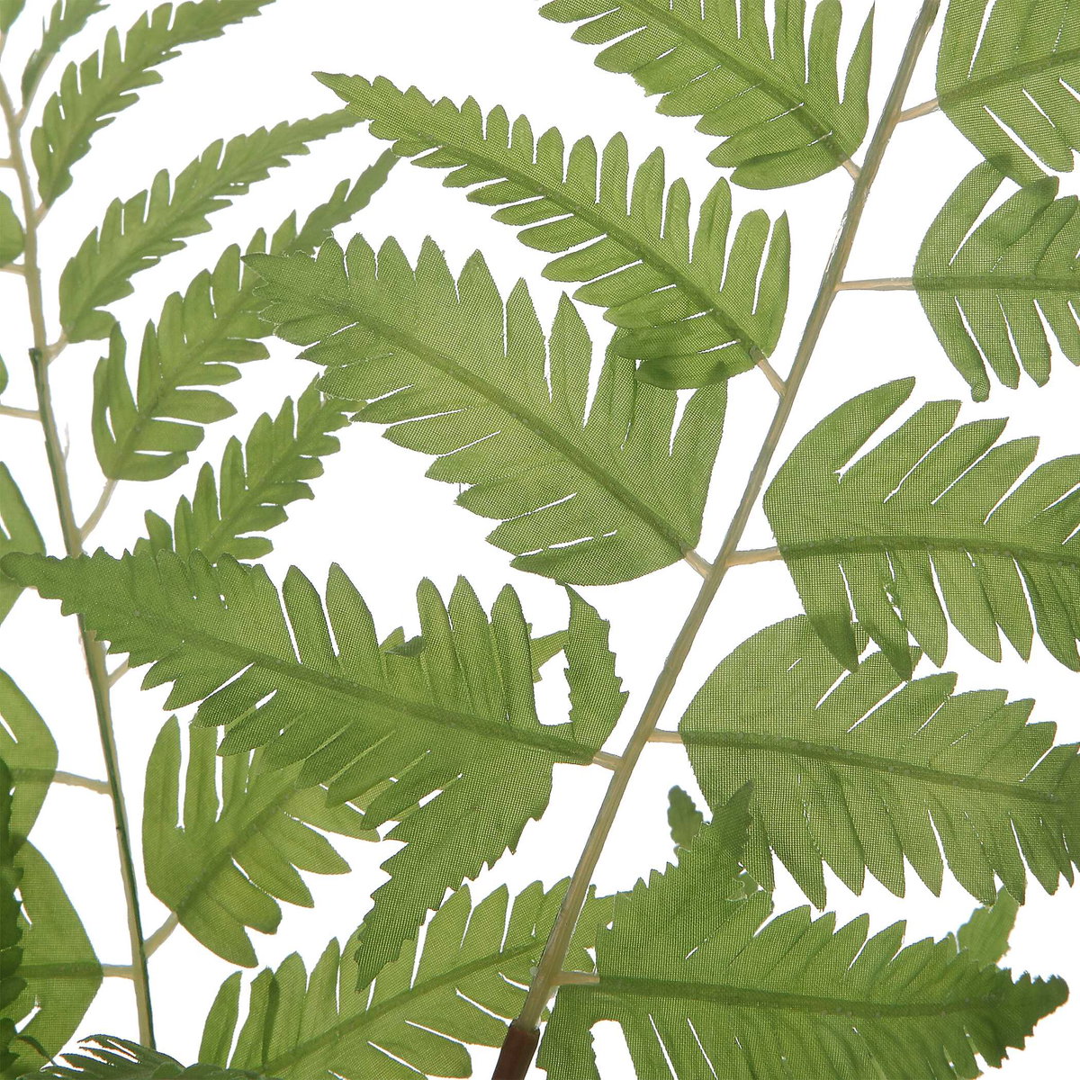 Country Ferns Set/2, Decorative by Uttermost, 16.5" width x 21" height x 16.5" depth View 3