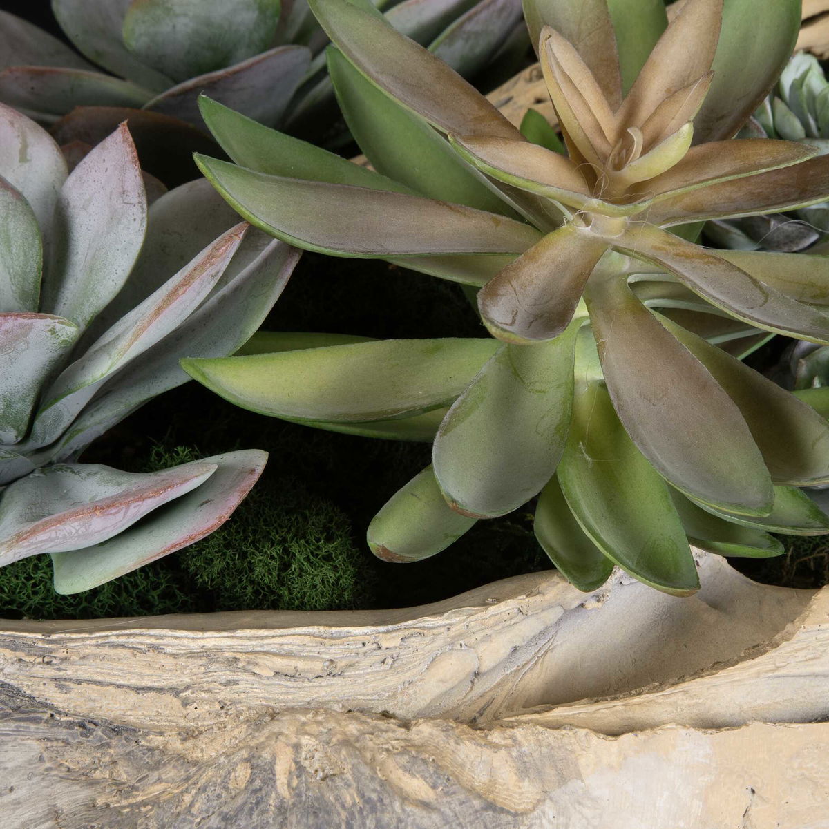 Seaside Breeze Succulents, Artificial Plants & Flower by Uttermost, 23" width x 10" height x 14" depth View 4