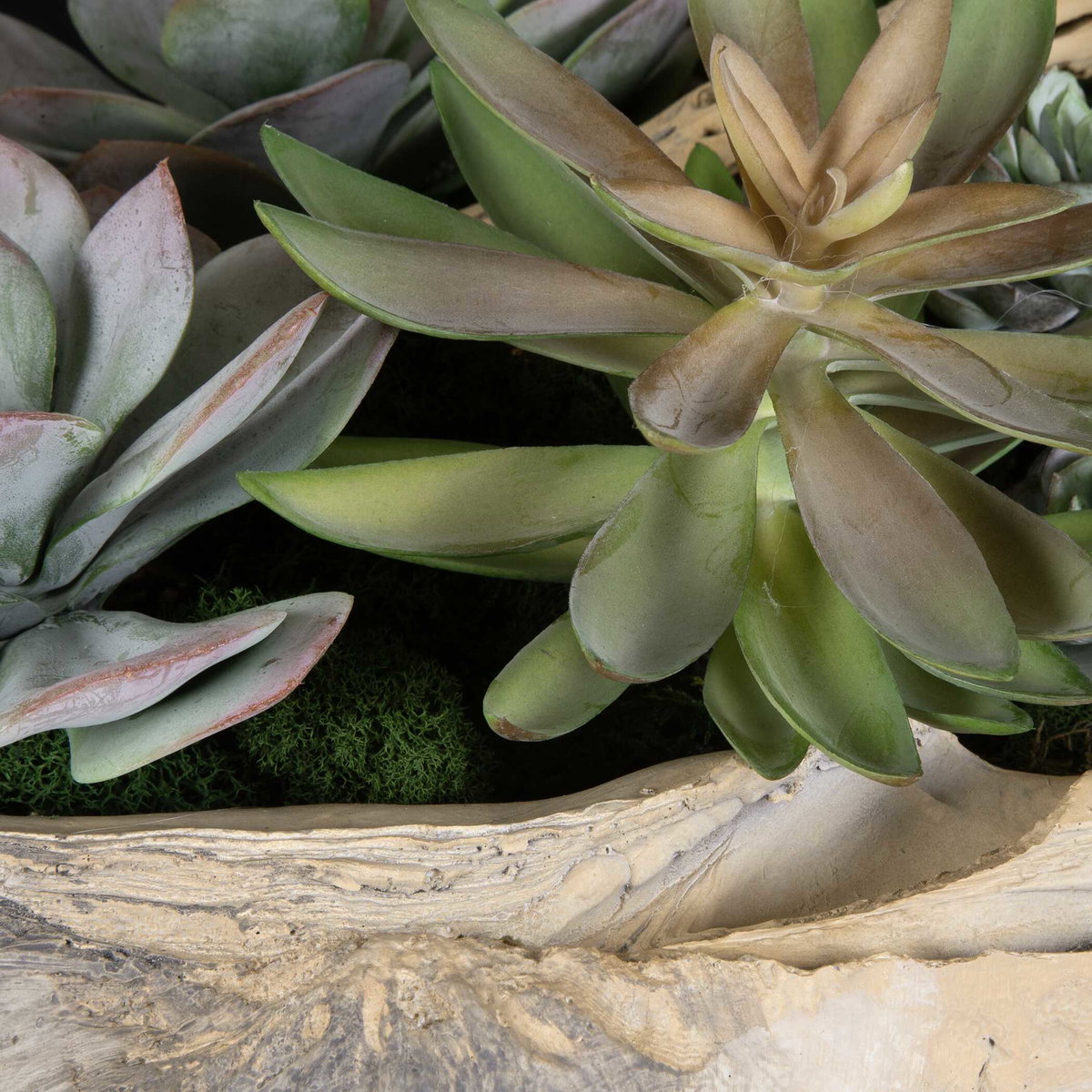 Seaside Breeze Succulents, Artificial Plants & Flower by Uttermost, 23" width x 10" height x 14" depth View 4