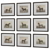 Equine Dynasty Framed Prints, S/9 thumbnail 3