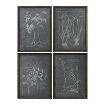 Online Designer Combined Living/Dining Root Study Print Art S/4