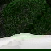 Awaken Moss Centerpiece thumbnail 3