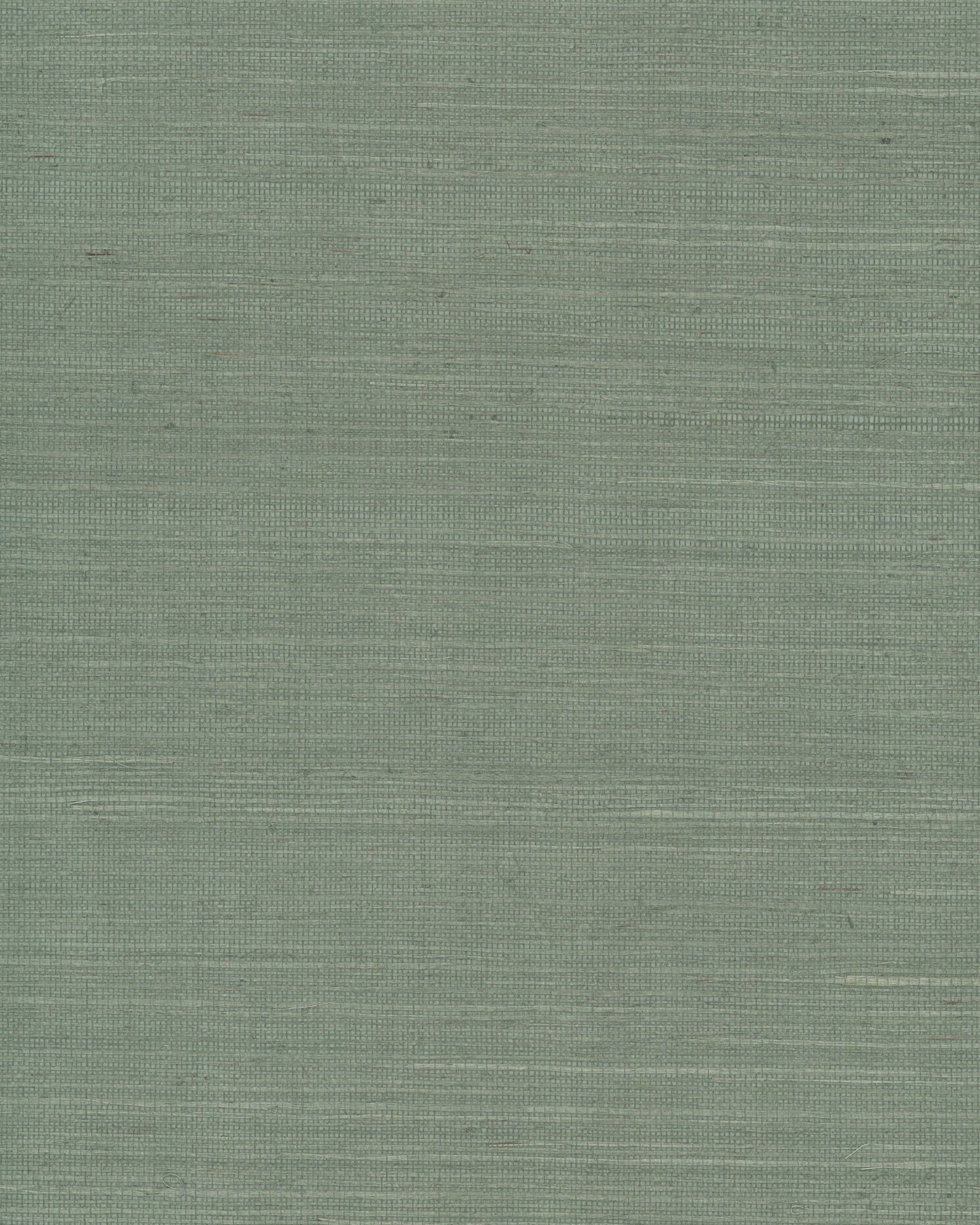 Maguey Sisal Sage Wallpaper large image 
