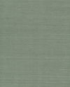Maguey Sisal Sage Wallpaper thumbnail 0