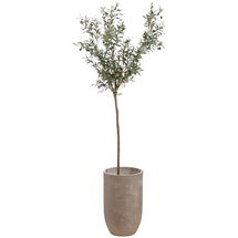 Online Designer Bedroom Faux Olive Tree in Cement Planter, 8'