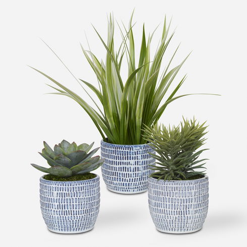 Puebla Greenery In Blue & White Pots, S/3