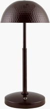 Elvas Accent Table Lamp thumbnail 0