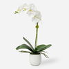 Cami White Orchid thumbnail 0