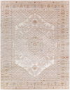 Palermo Machine Woven Rug, by Surya, 3' length x 2' width thumbnail