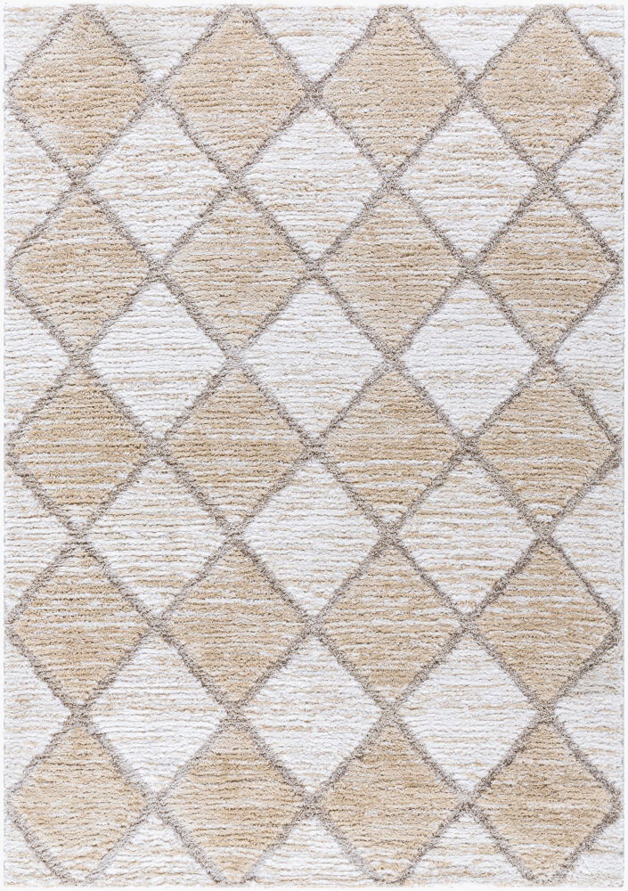 Delight Shag Machine Woven Rug, by Surya, 6'11.86" length x 5'2.99" width