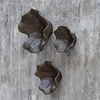 Two Wood Wall Décor In Mocha Set/3, Sculptural Wall Art by Uttermost, 16" width x 16" height x 7" depth thumbnail 4