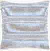 Ryder Accent Pillow, Decorative Pillow by Surya, 20" length x 20" width thumbnail