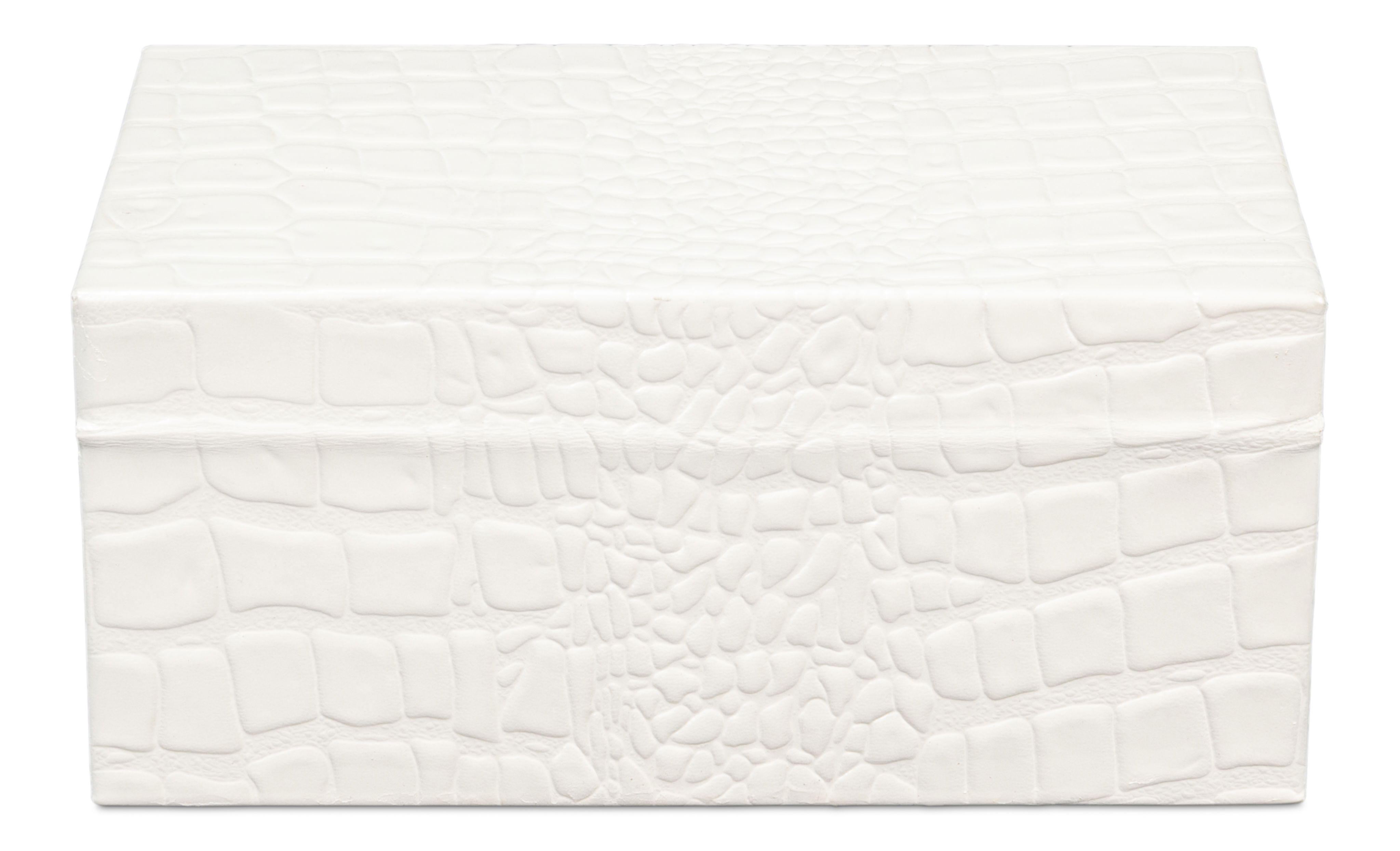 Candece Leather Box  Pearl  S/2 large image 