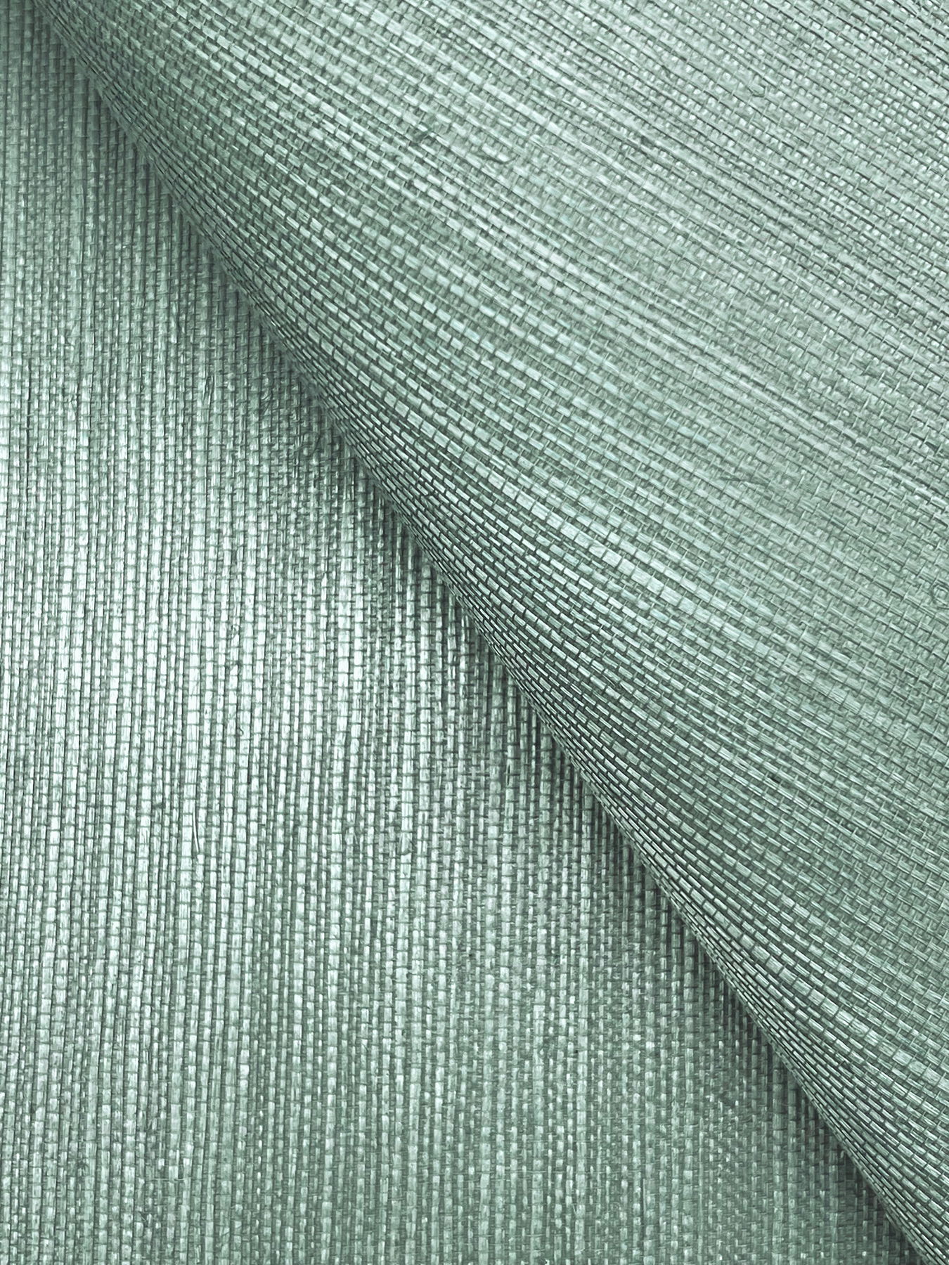 Maguey Sisal Spruce Wallpaper large image 