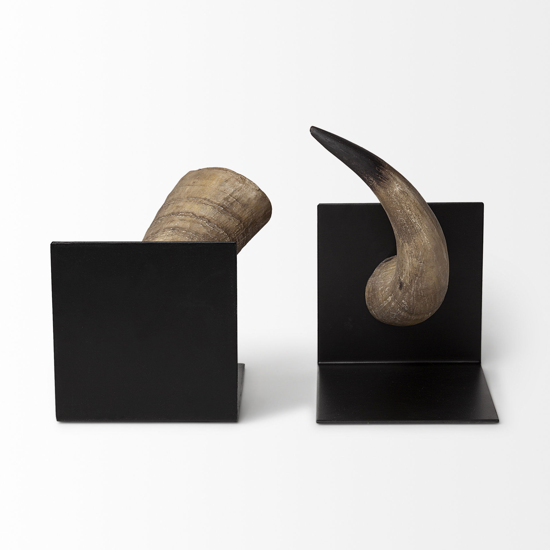 Nickerson (Set of 2) 6L x 7W Bull Horn Bookends, by Mercana, 5.5" length x 6.5" width x 5.51" height View 4