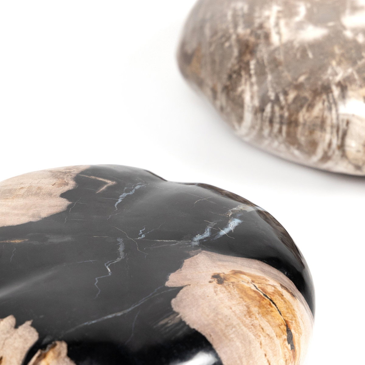 Petrified Wood Organic Sculpture, Set Of 3, Decorative Object by Four Hands, 9.75" width x 8.75" height x 9.75" depth View 9