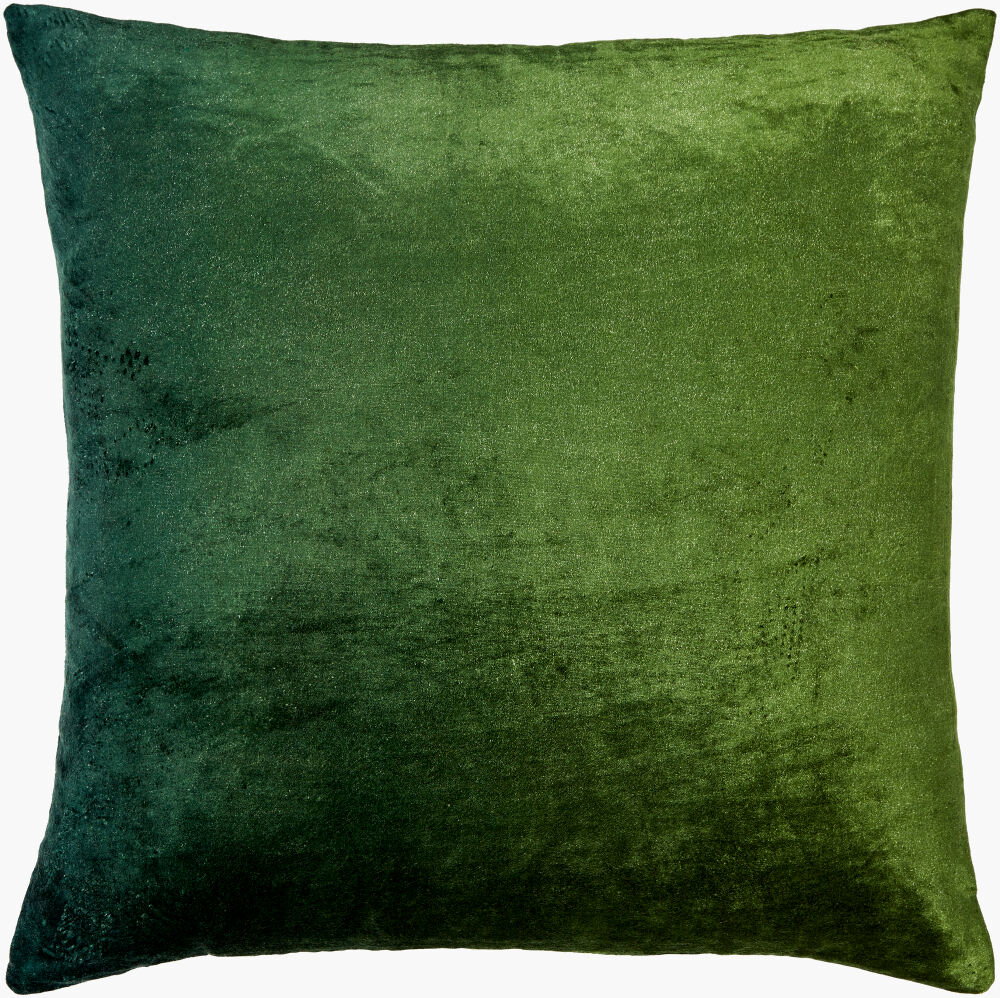 Theodosia Accent Pillow, Decorative Pillow by Surya, 22" length x 22" width