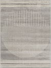 Floransa Machine Woven Rug, by Surya, 10'0.08" length x 7'10.49" width thumbnail