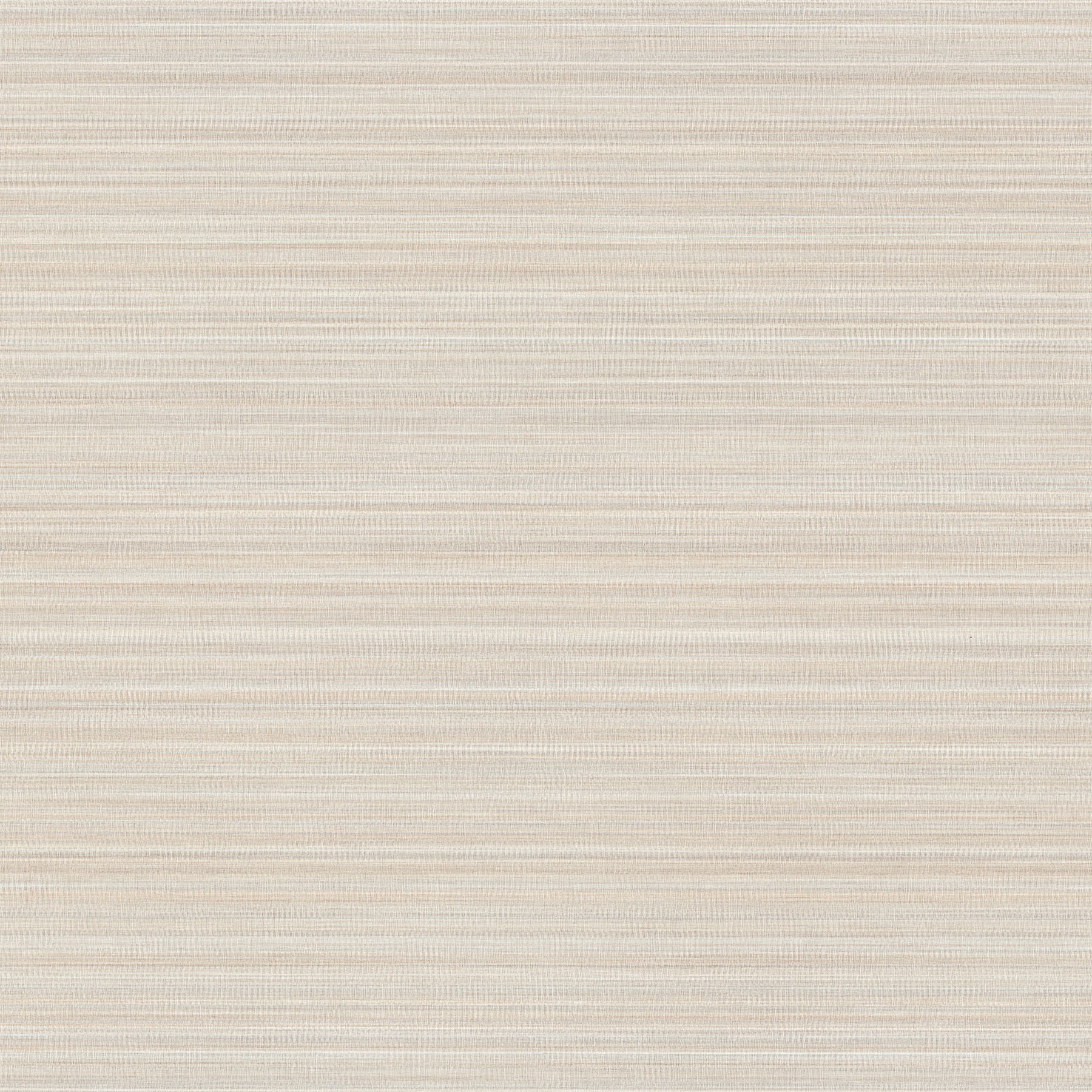 Allineate Seashell Wallpaper large image 