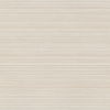 Allineate Seashell Wallpaper thumbnail 0