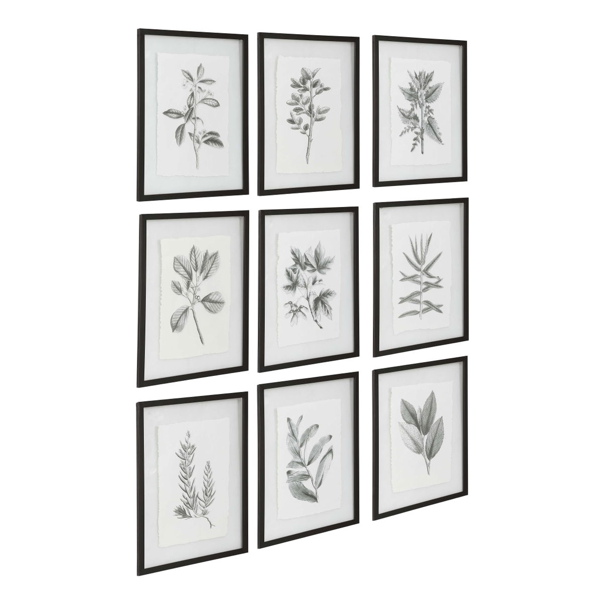 Farmhouse Florals Framed Prints Set/9, Art by Uttermost, 17.5" width x 23" height x 0.75" depth View 5