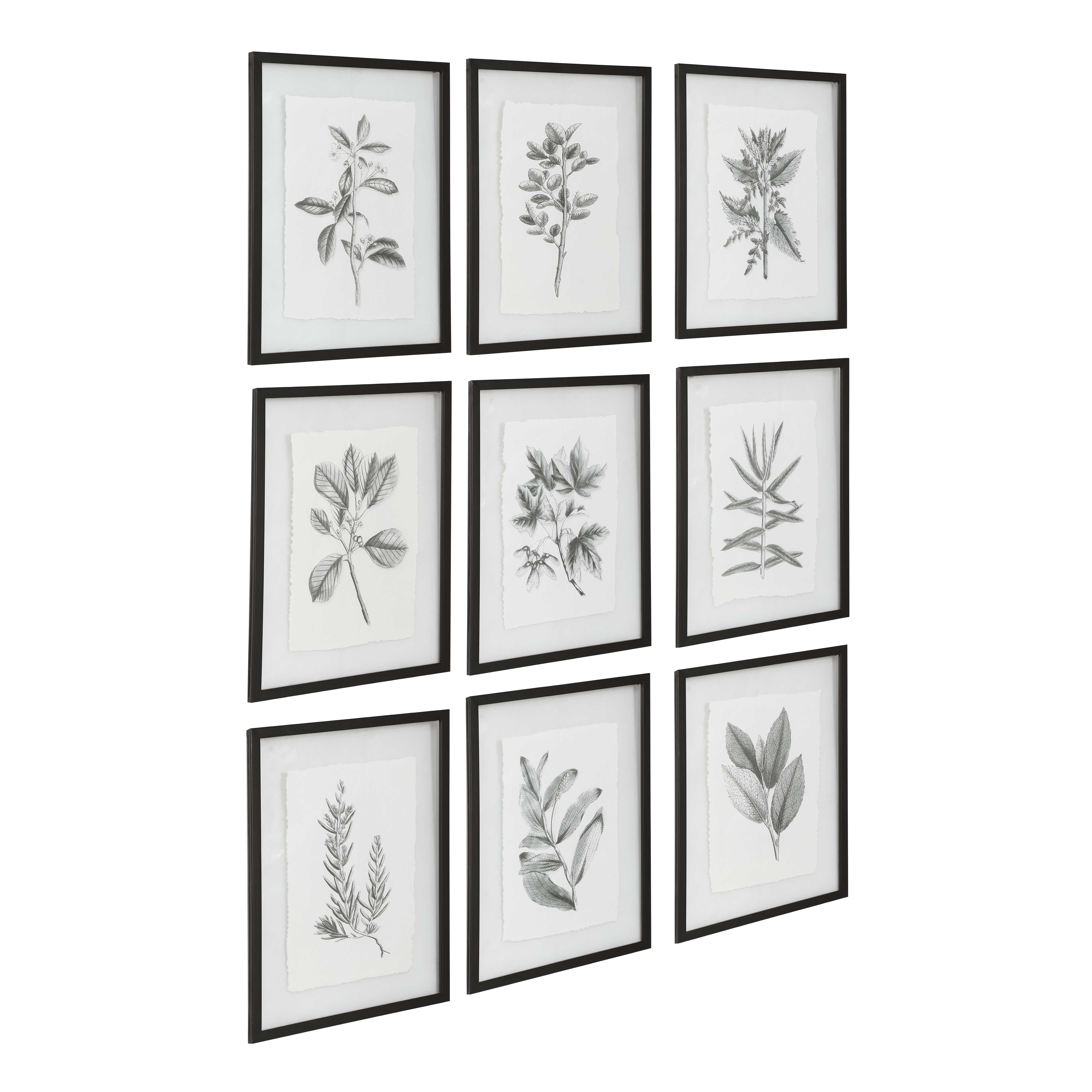 Farmhouse Florals Framed Prints Set/9, Painting by Uttermost, 17.5" width x 23" height x 0.75" depth View 5