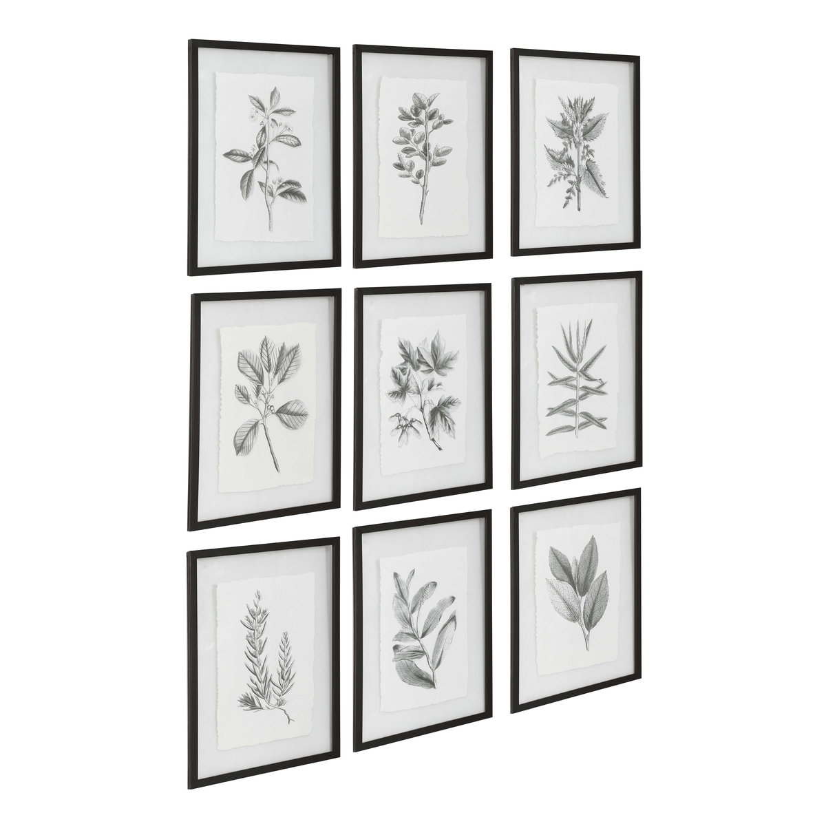 Farmhouse Florals Framed Prints Set/9, Painting by Uttermost, 17.5" width x 23" height x 0.75" depth View 5
