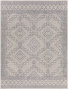 Tuareg Machine Woven Rug thumbnail 0