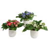 Trilogy Primrose Accents In Vases Set/3, Artificial Plants & Flower by Uttermost, 9.5" width x 11" height x 9.5" depth thumbnail 1
