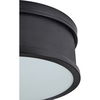 Stallone Ceiling Fixture thumbnail 1