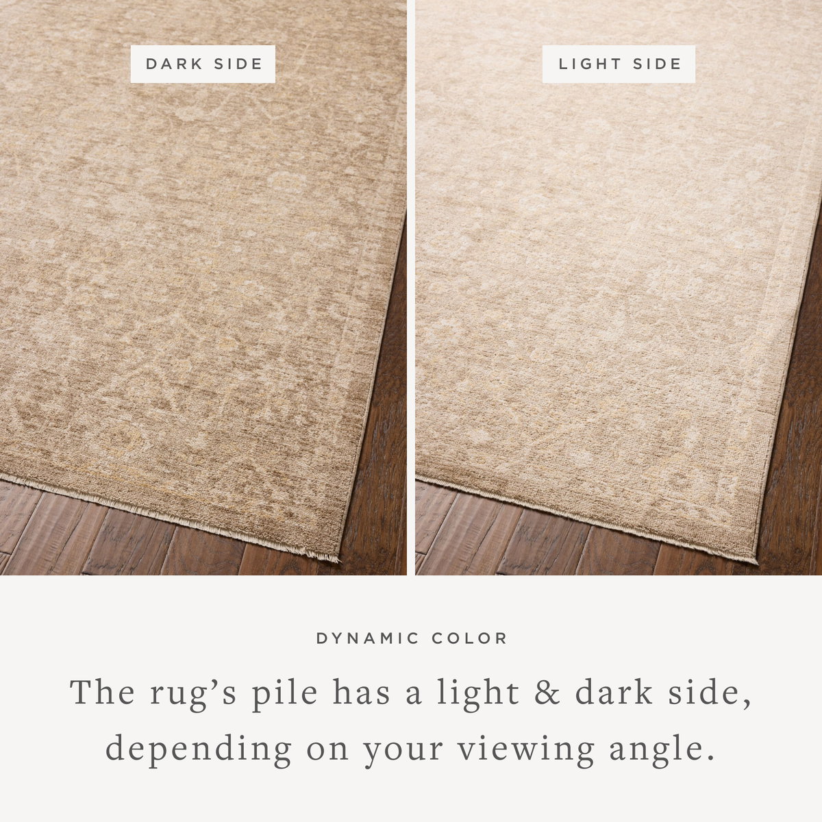 Chris Loves Julia x Loloi Palma Rug, 5'3" length x 7'6" width View 3