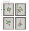 Wildflower Study Framed Prints, S/4 thumbnail 2