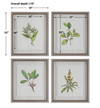 Wildflower Study Framed Prints Set/4, Art by Uttermost, 19" width x 22" height x 1.75" depth thumbnail 3