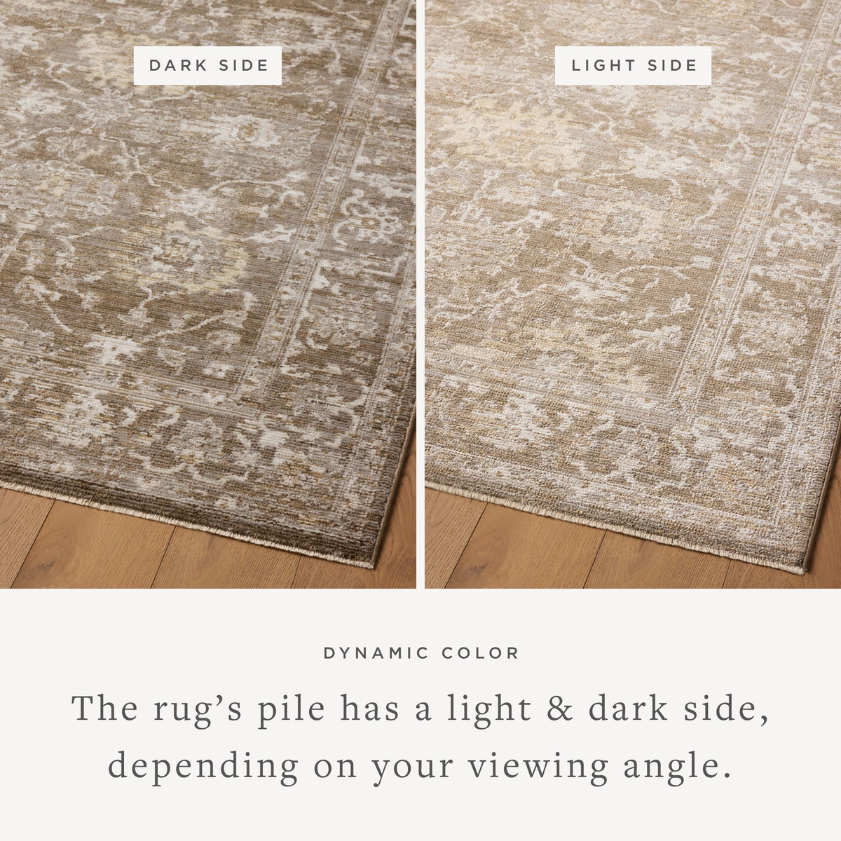 Magnolia Home by Joanna Gaines x Loloi Pace Rug, 5'3" length x 5'3" width View 4