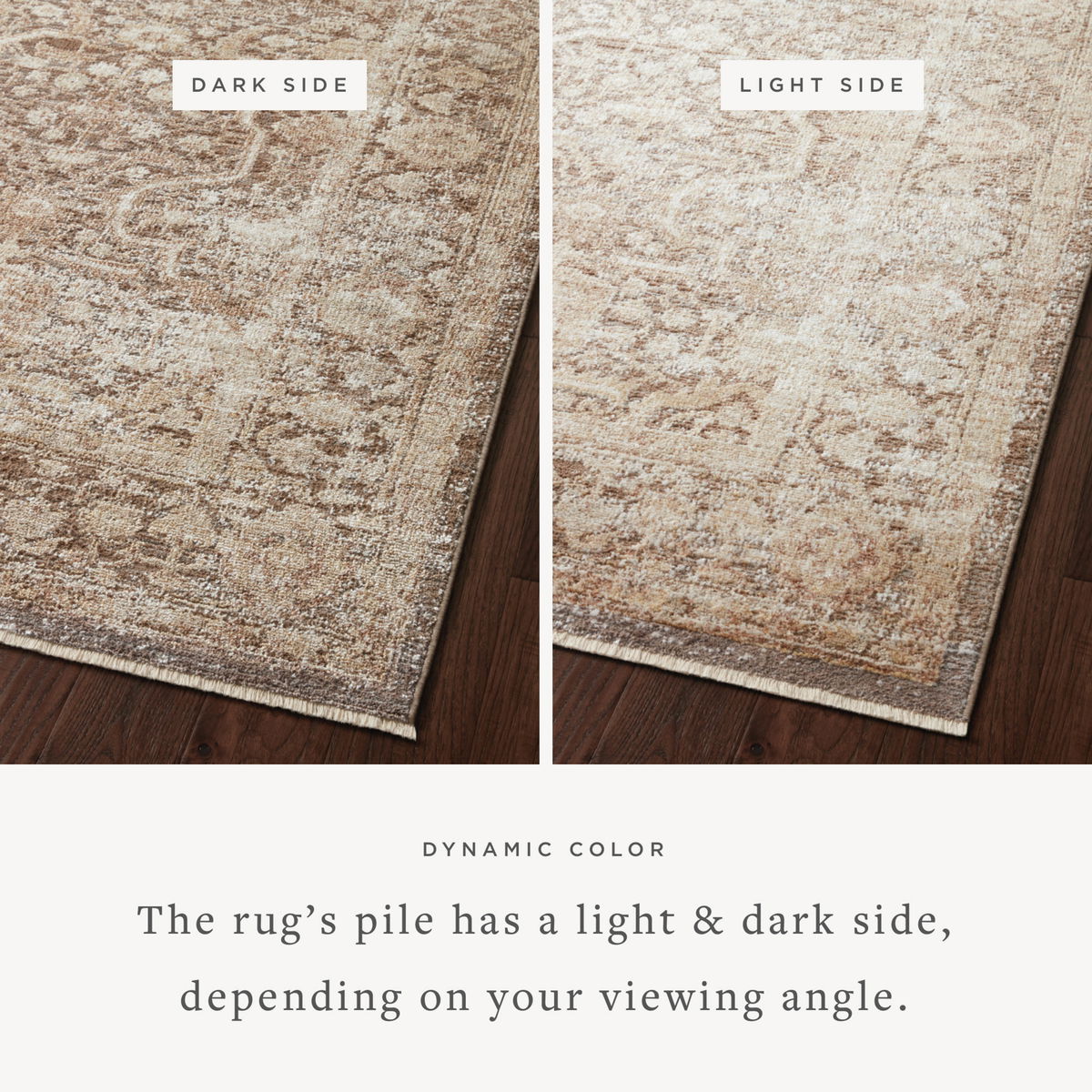Loloi Sonnet Rug, 1'6" length x 1'6" width View 2