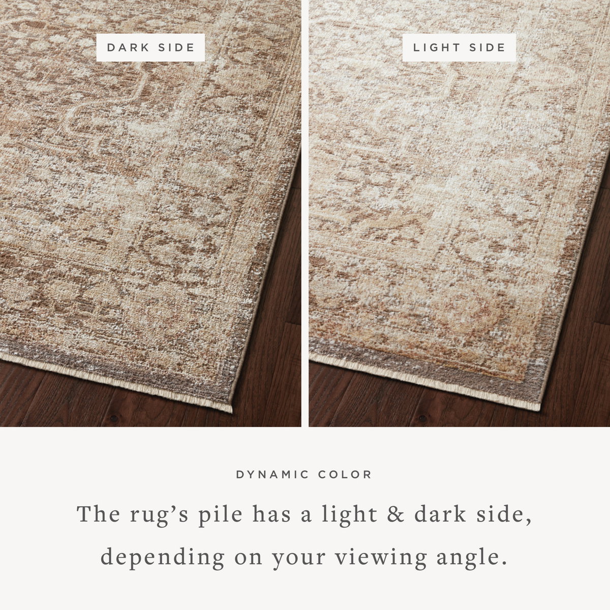 Loloi Sonnet Rug, 2'6" length x 4' width View 2