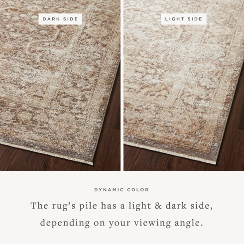 Loloi Sonnet Rug