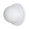 Raquel Wall Sconces thumbnail 0