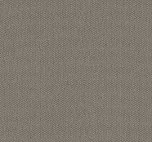 Give & Take Brown Wallpaper