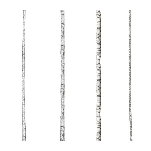Realistic Birch Trees Giant Wall Decals