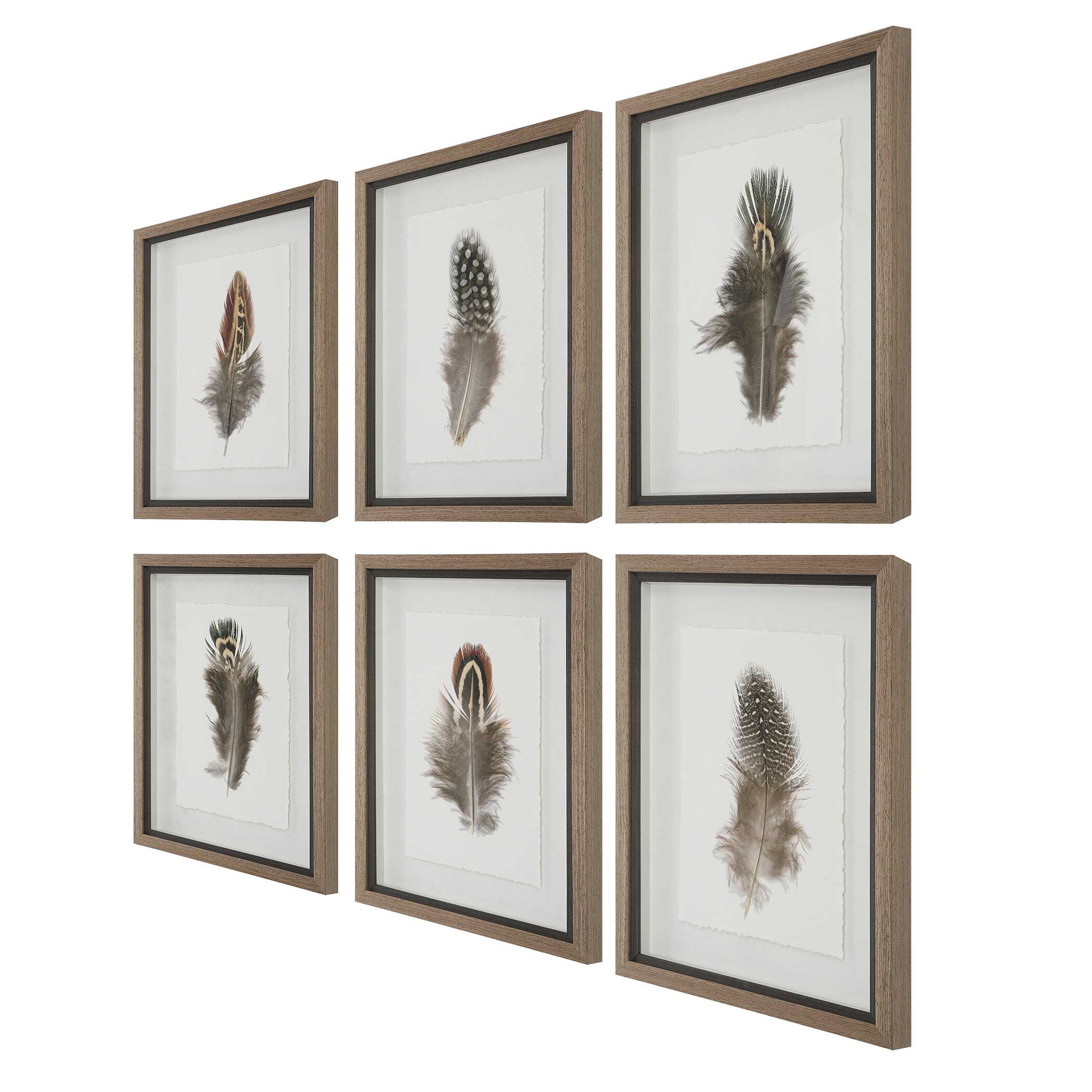 Birds Of A Feather Framed Prints Set/6, Painting by Uttermost, 15" width x 20" height x 1.75" depth View 7