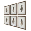 Birds Of A Feather Framed Prints Set/6, Painting by Uttermost, 15" width x 20" height x 1.75" depth thumbnail 7