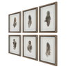 Birds Of A Feather Framed Prints Set/6, by Uttermost, 1'3" width x 1'8" height x 1.75" depth thumbnail 7