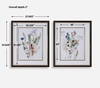 Delicate Flowers Framed Prints Set/2, Art by Uttermost, 27.62" width x 33.62" height x 2" depth thumbnail 3