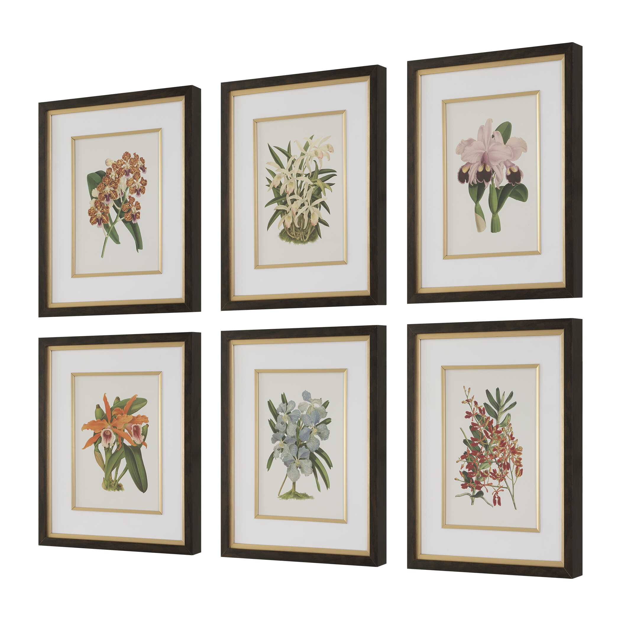 Orchid Botanical Framed Prints Set/6, Painting by Uttermost, 20.5" width x 24.5" height x 2" depth View 4