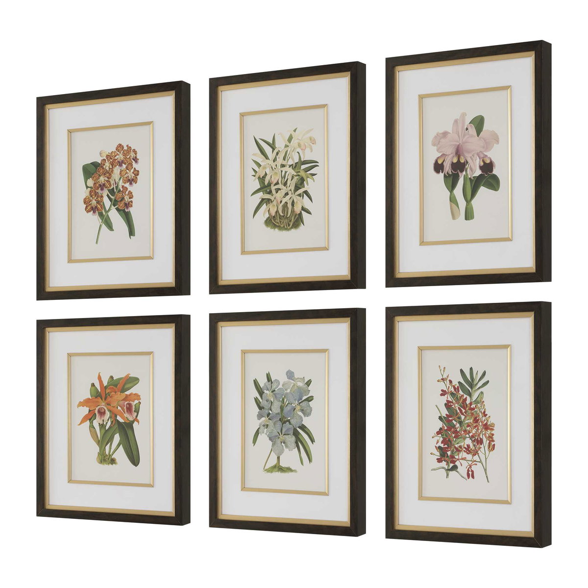 Orchid Botanical Framed Prints Set/6, Painting by Uttermost, 20.5" width x 24.5" height x 2" depth View 4